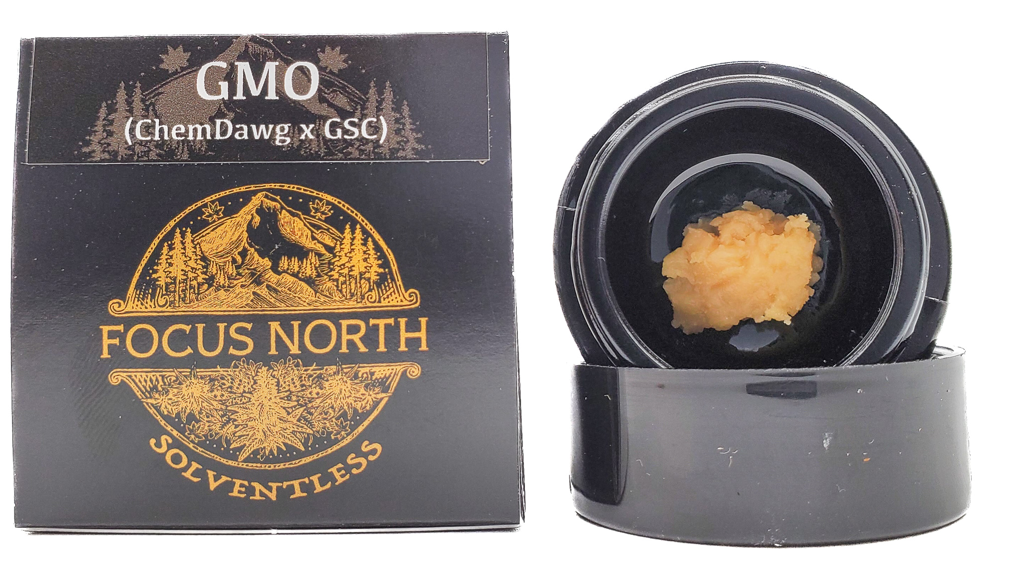 Photograph of product: Focus North | Live Rosin | GMO
