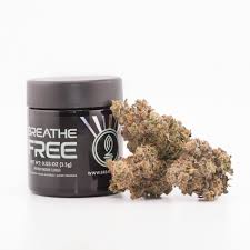 Photograph of product: Melonball-Z | Premium Flower | 3.5g
