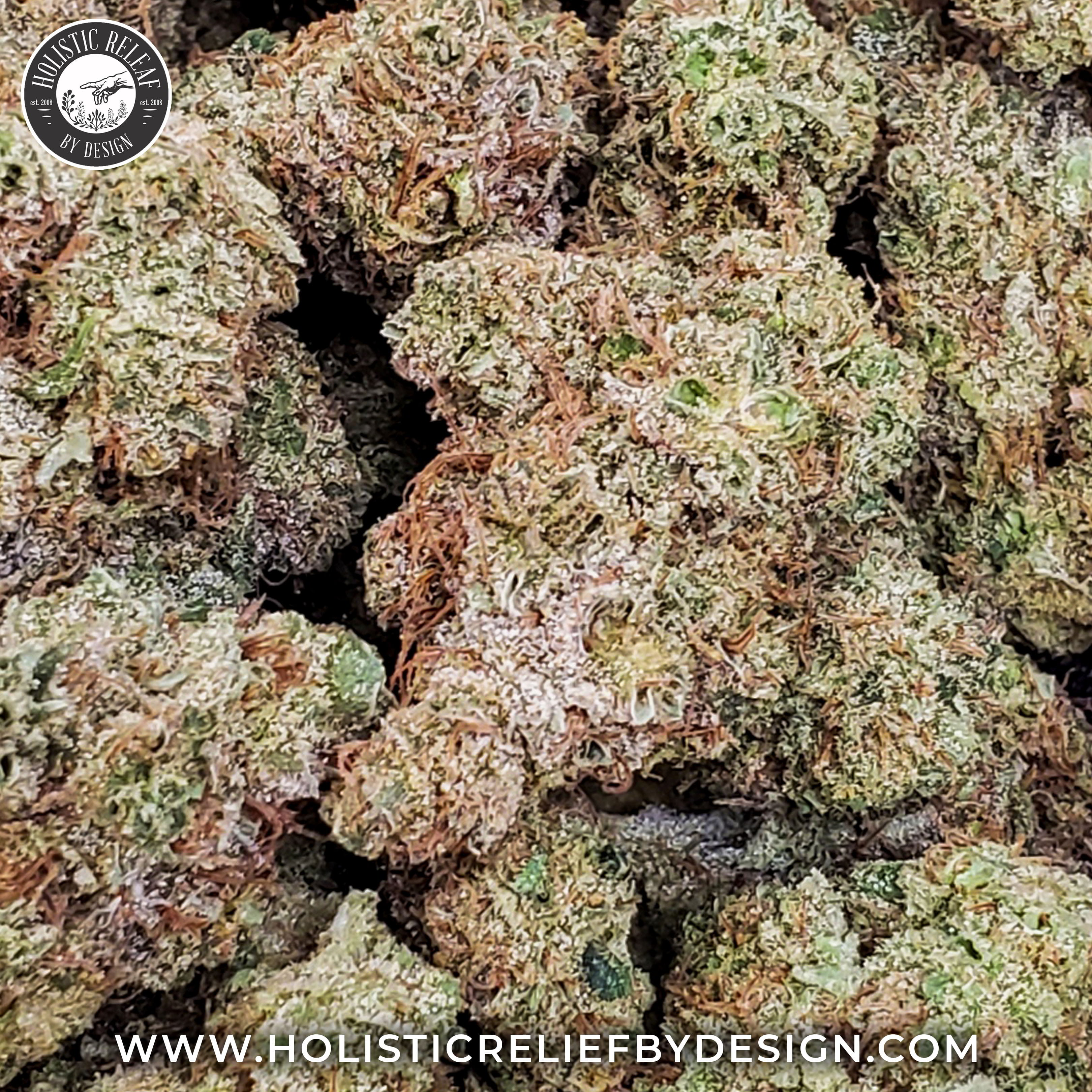 Photograph of product: DutchTreat-Flower-|Oui'd-Dominant|HRBD - 1g