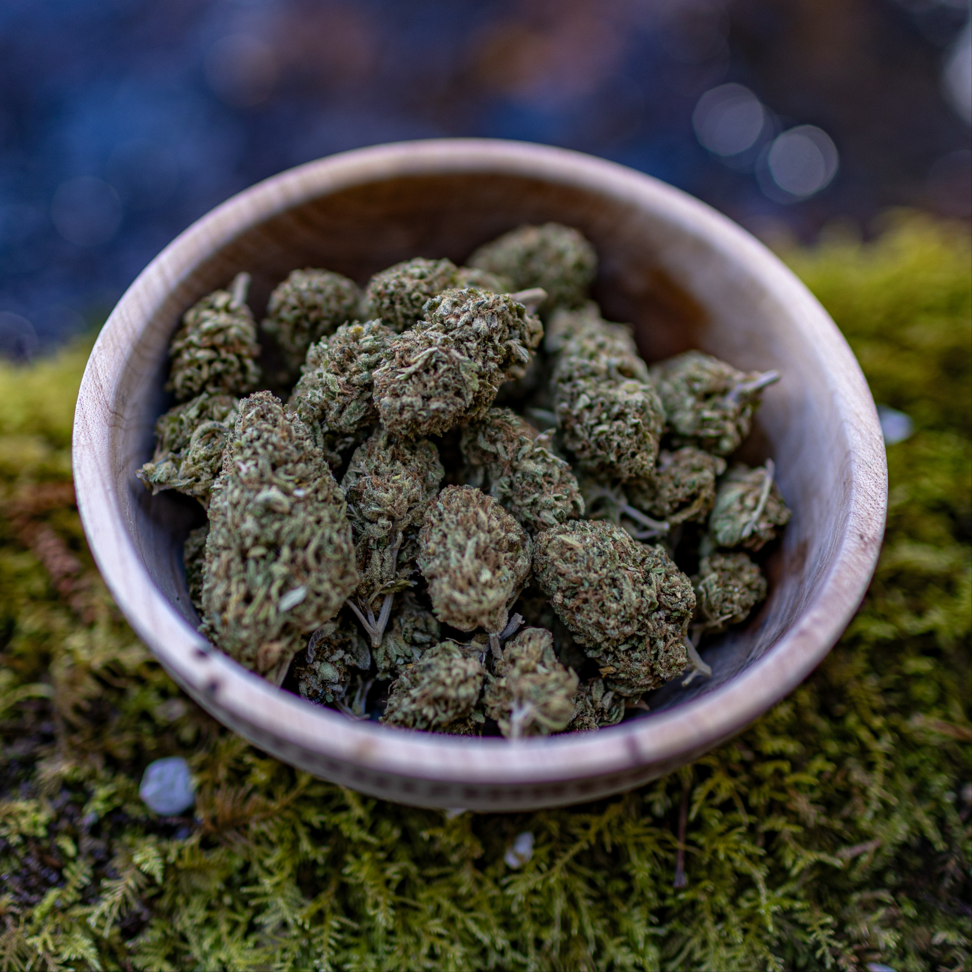 Photograph of product: Cornucopia CBD