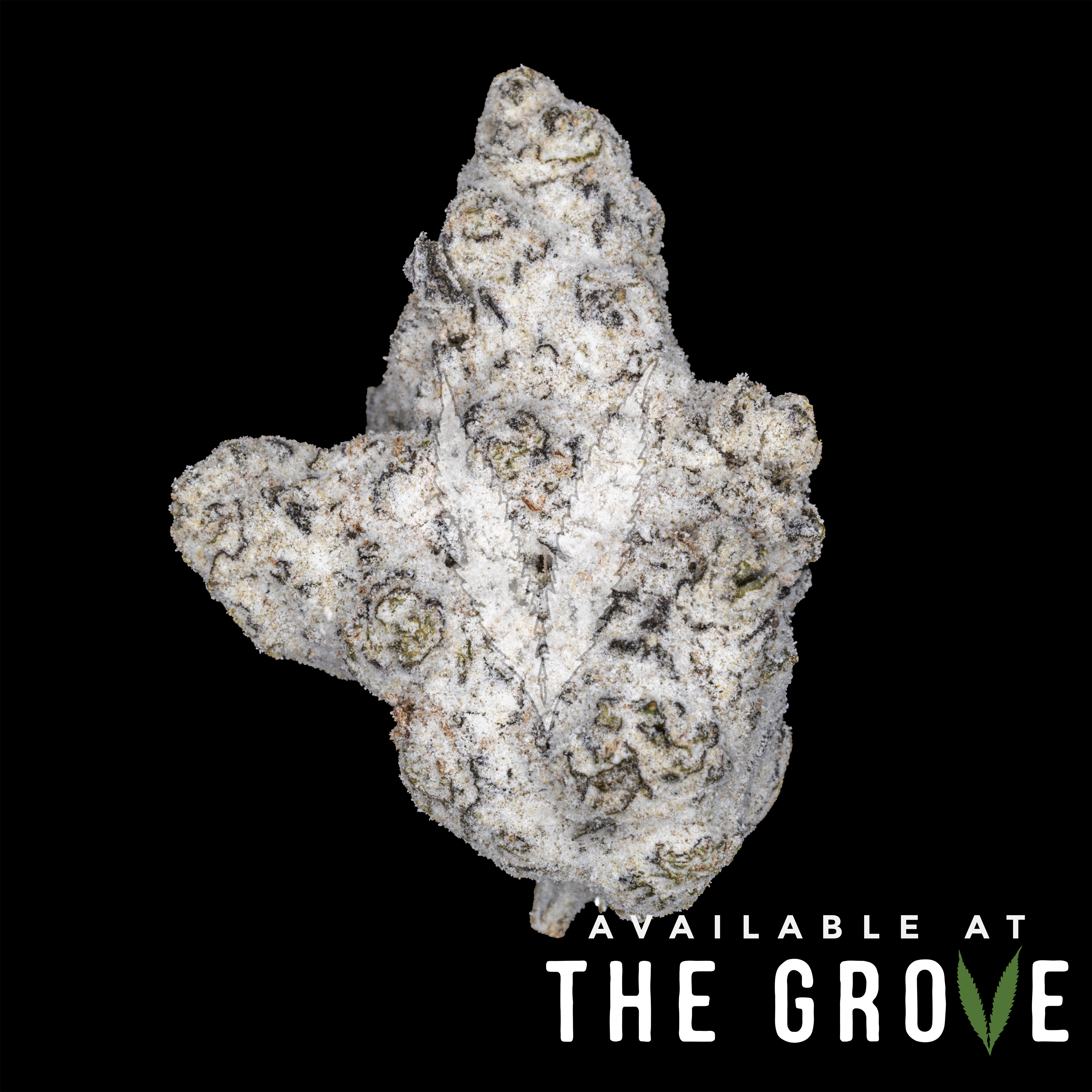 Photograph of product: Iced | Lemon Tree Diamond Infused Flower 1/8th - 3.5g