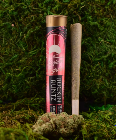 Photograph of product: Golden Garden | 1g Pre-Roll | Dulce De Uva