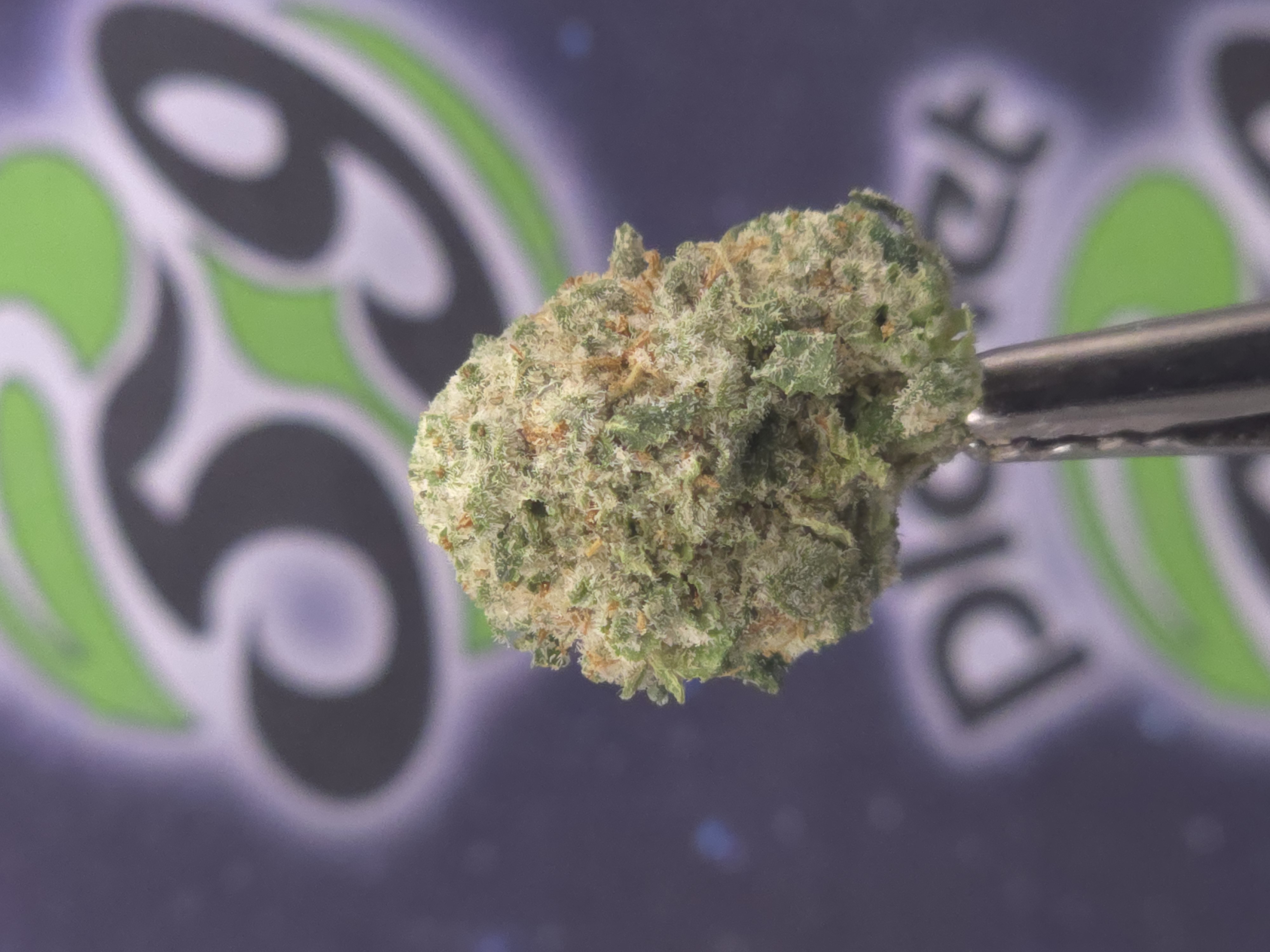 Photograph of product: Goldkine | Muel Fuel Prepack - 28g