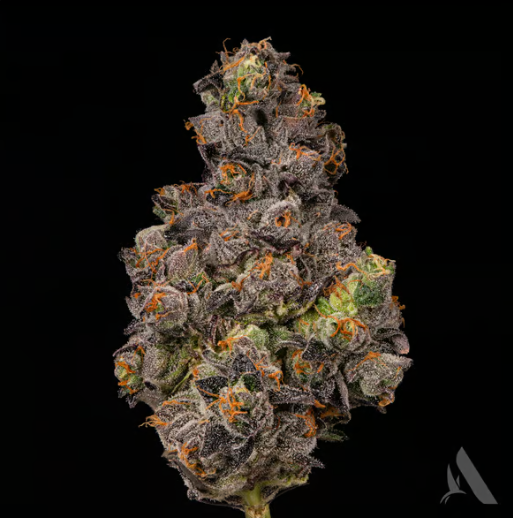 Photograph of product: Ko'Zeto | Pre-Pack Smalls | 3.5g | 00633