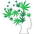 thumbnail-Size Logo for storeLogo: Amnesia Dispensary & Accessories. Med & Rec