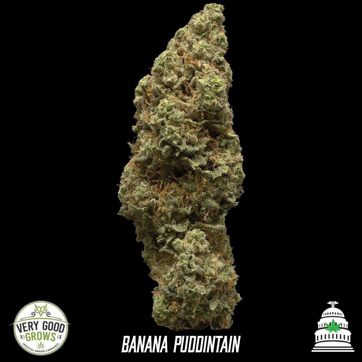 Photograph of Product: Banana Puddintain - Very Good Grows Flower - 14g