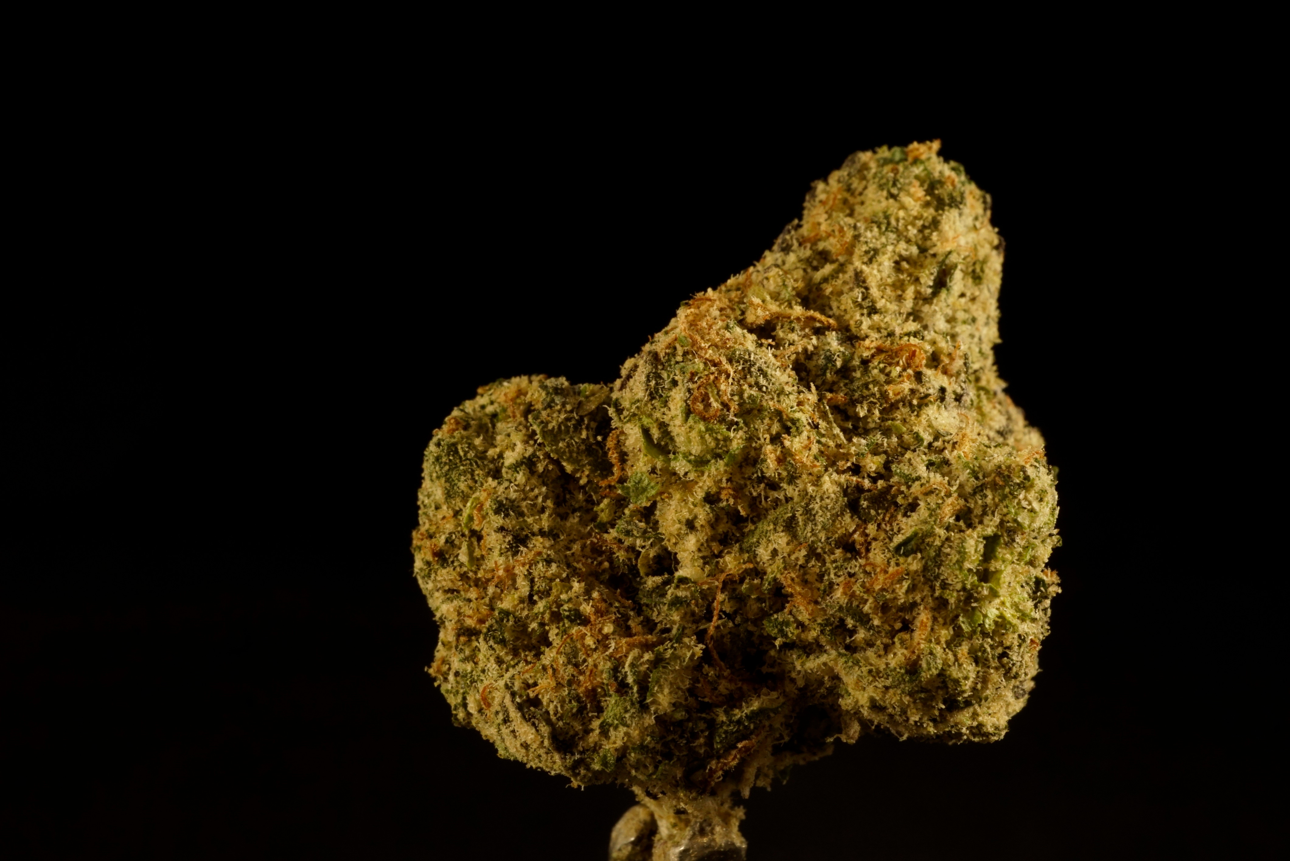 Photograph of product: Ripped Off Runtz - 28g