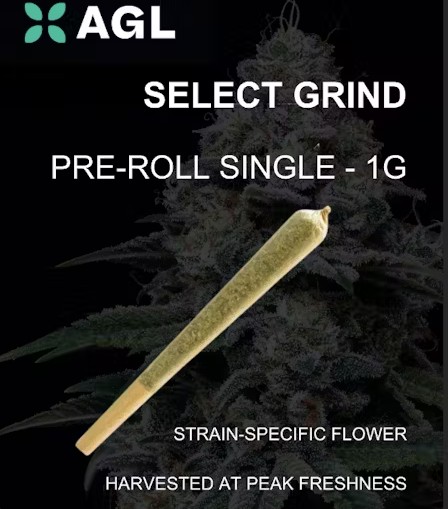 Photograph of product: Sherb Co Grind Pre-Roll 1g/1pk (C0010000481)