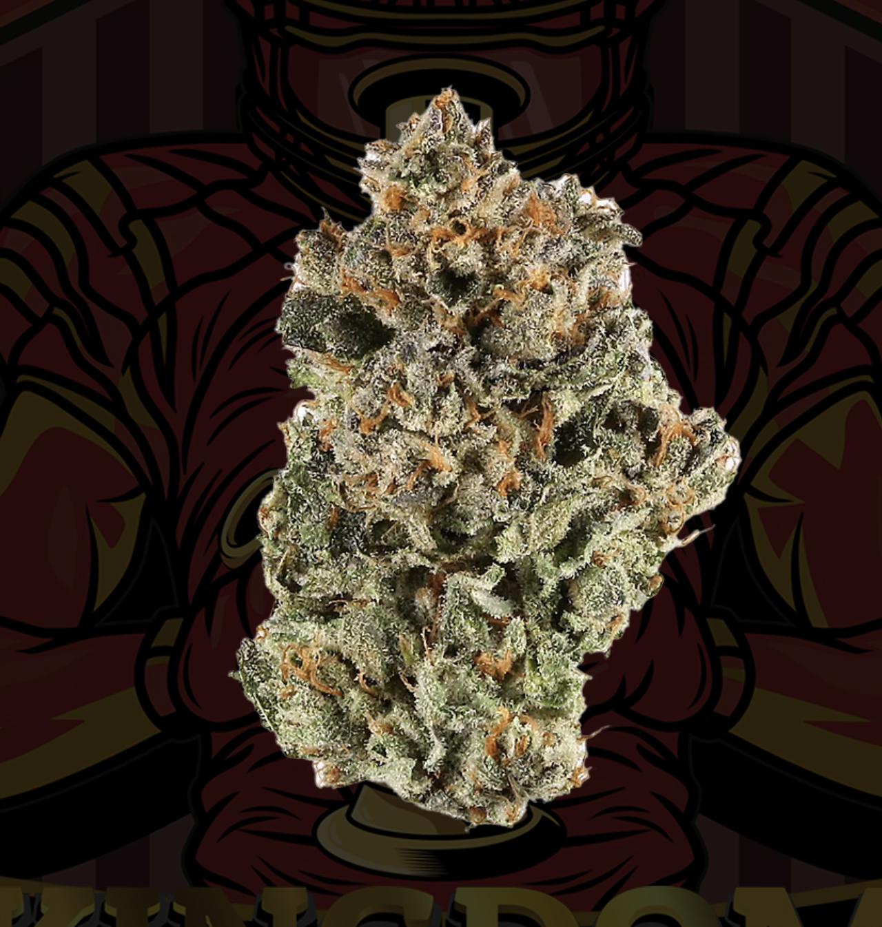 Photograph of product: illicit | Kingdom Kush | 3.5g