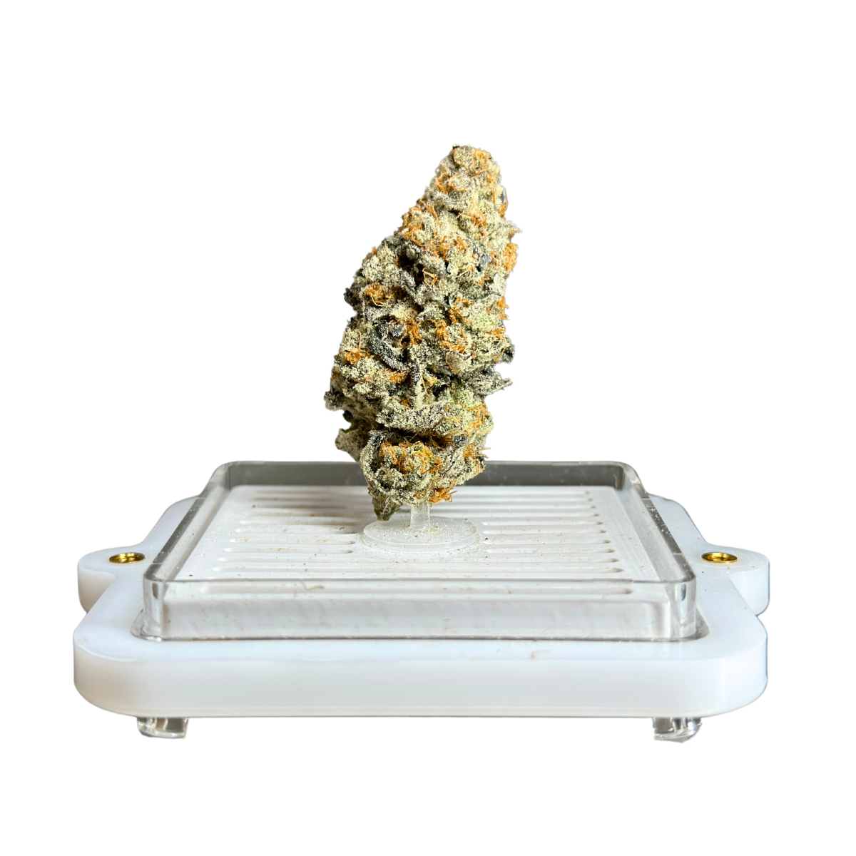 Photograph of product: Wedding Budder | Flower Bar - 28g