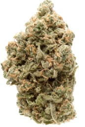 Photograph of product: Peachy Keen | LightSky Farms - 28g