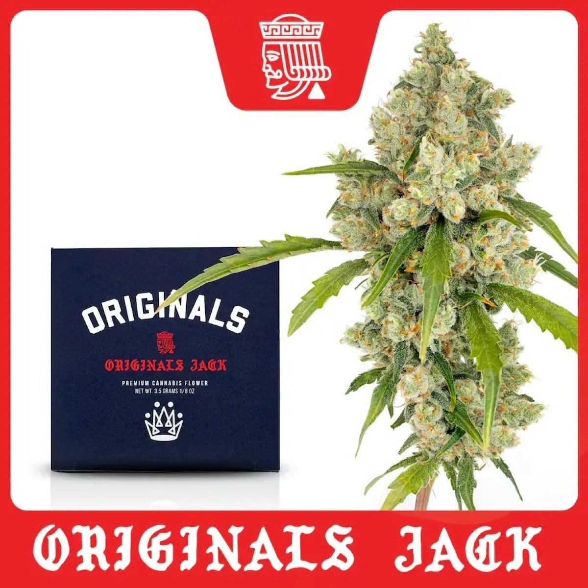 Photograph of product: Originals - Jack Herer - Flower - 3.5g