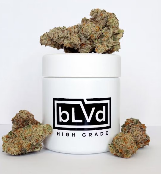 Photograph of product: BLVD | 702 Headband - 3.5g