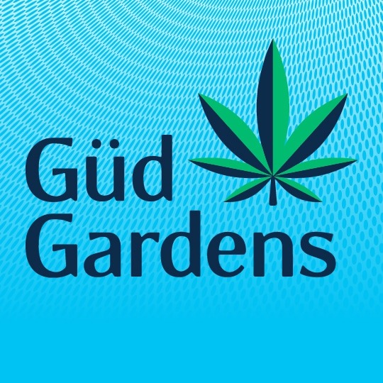 Photograph of product: Gud Garden Day Pks Ginger Chem Flyer Blue Dream