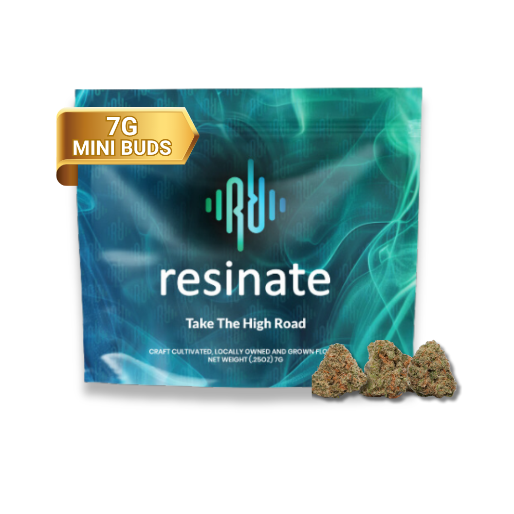 Photograph of product: Mango Sapphire | Premium Mini Buds | 7g