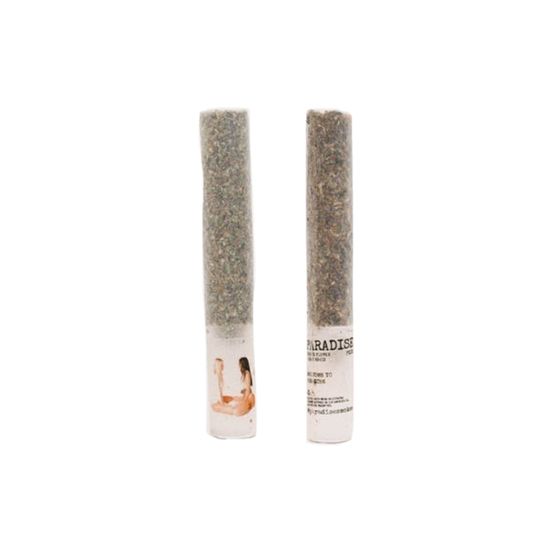 Photograph of product: Paradise Rosin Infused Preroll Guala 2g - 