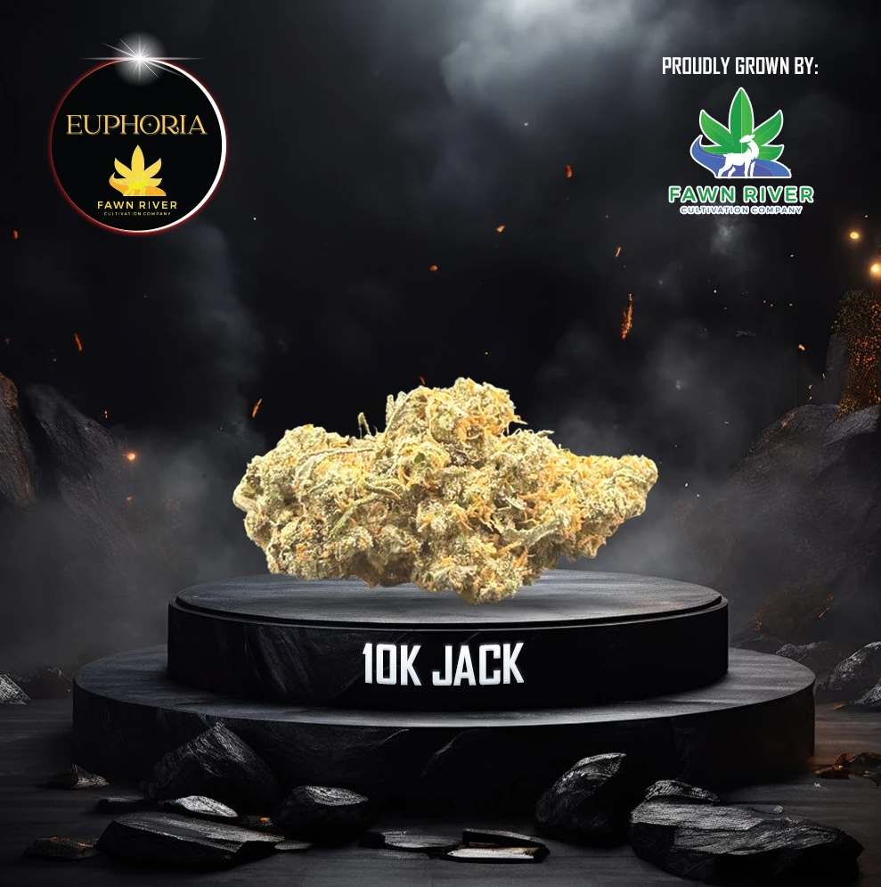 Photograph of Product: 10k Jack - Gold Tier - 2g