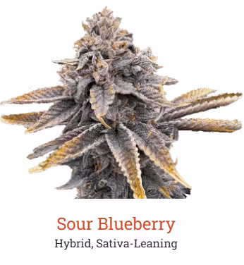 Photograph of product: Victory Natural Farms | Sour Blueberry | Pre-Roll 5 Pack | 4g