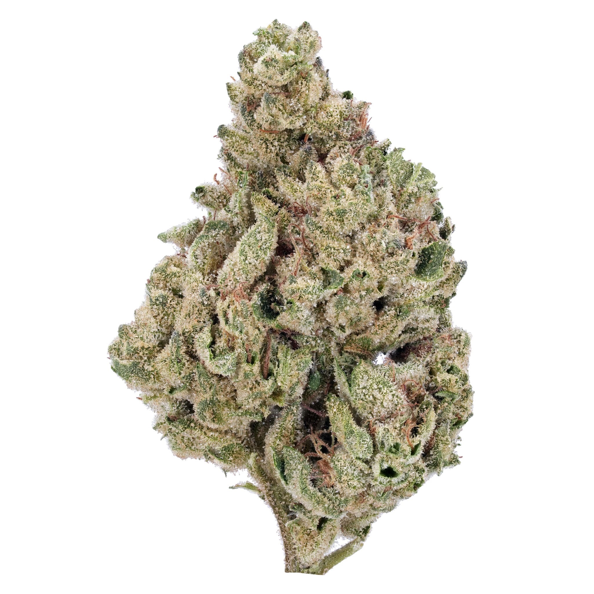 Photograph of Product: Flo l Flower l Silver Haze 28G