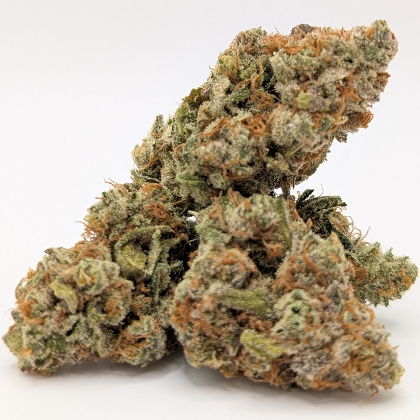 Photograph of product: Lemon Cherry Gelato 3.5g (Bushy)