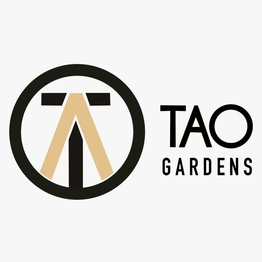 Photograph of product: Sticky Buns - Tao Gardens (H) - 28g