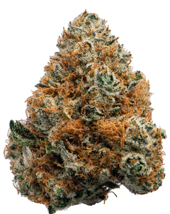 Photograph of product: High Life Farms | Dark Rainbow | Flower - 28g