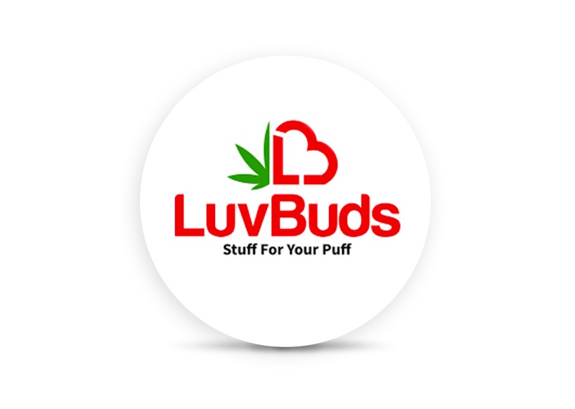 Photograph of product: LuvBuds - 510 Battery