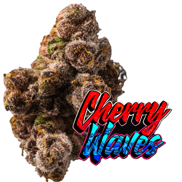 Photograph of product: Cherry Waves - 3.5g Flower