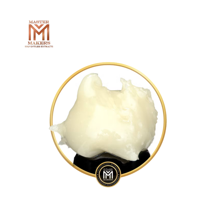 Photograph of product: MAZAPAN 1G COLD CURE ROSIN