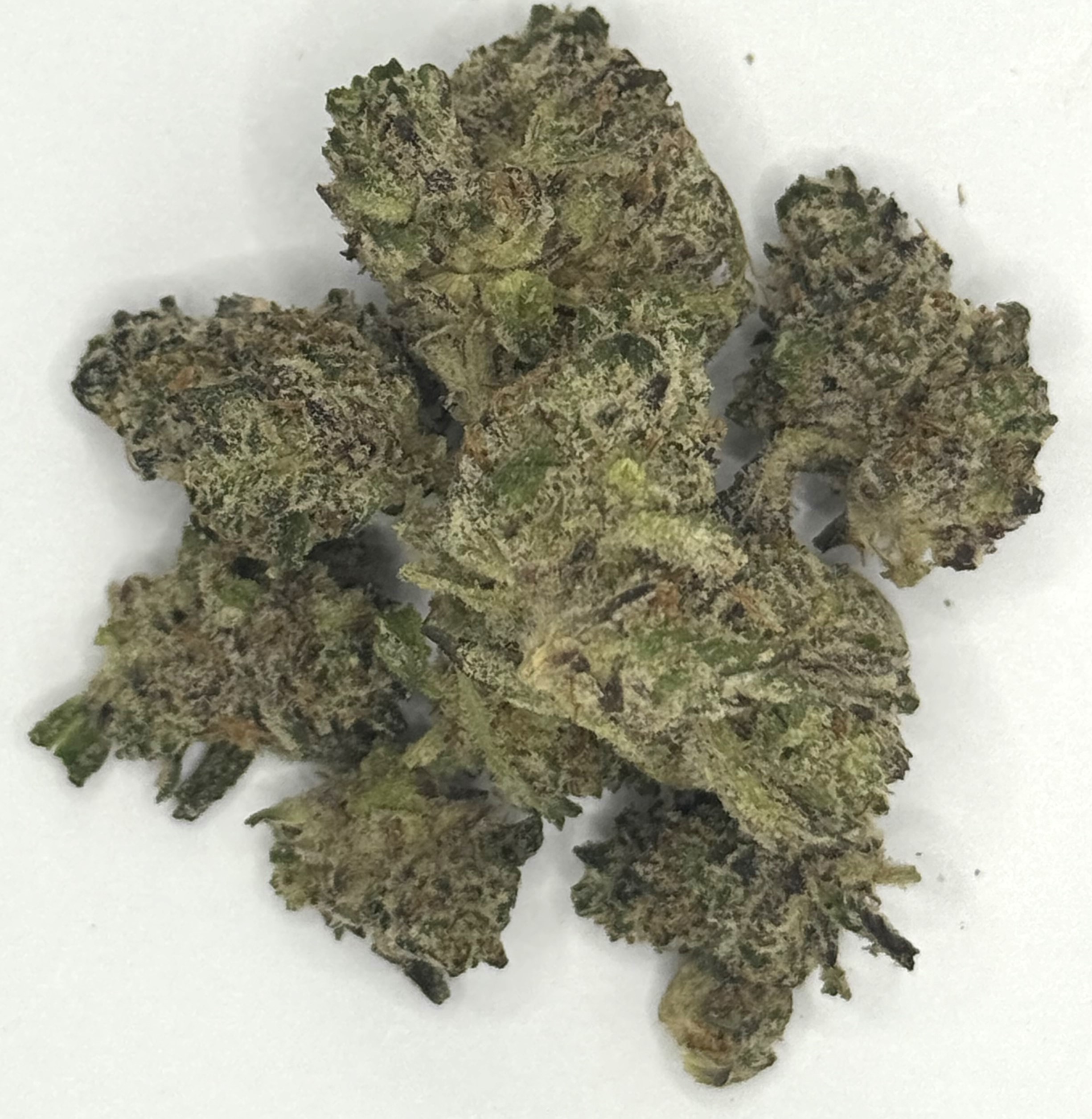 Photograph of product: Purple Panties - 28g