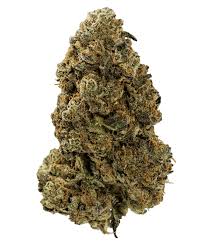 Photograph of product: 8th - Guava Bars - (Hybrid) - 26.1%TH-oui (+/-10%) - Plant Nerd - 9561 - 3.5g