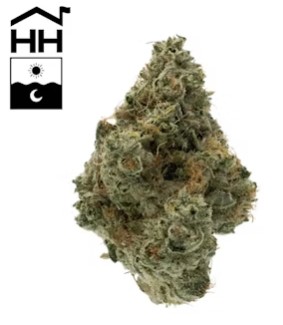 Photograph of product: Spritzer - 3.5g