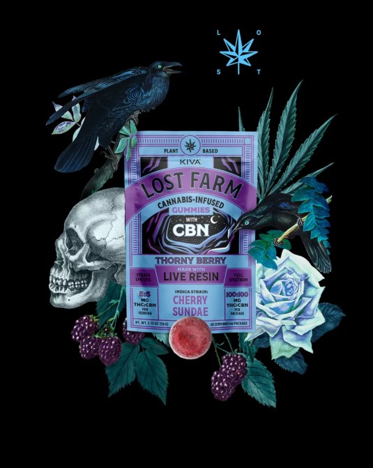 Photograph of product: Lost Farm | Thornyberry X Cherry Sundae 1:1 Live Rosin Gummies | 100mg