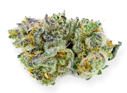 Photograph of product: Headband | 3.5g