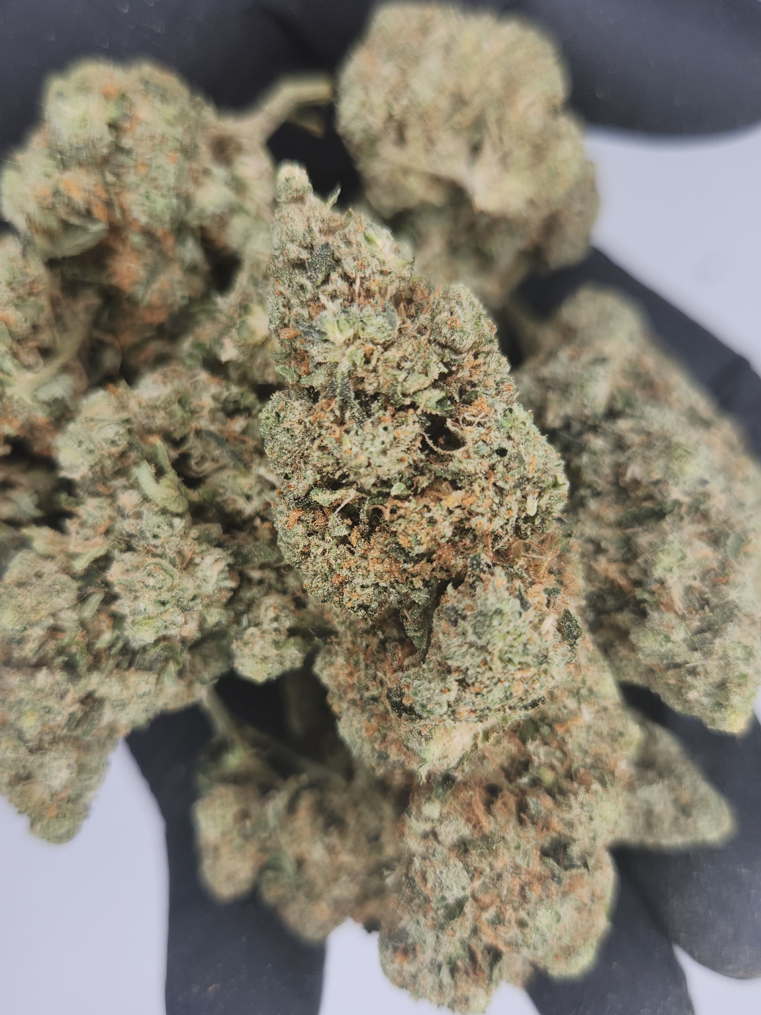 Photograph of product: Fresh Canna | Bulk Bud - Pineapple Express - 28g