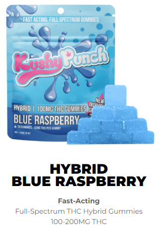Photograph of product: Kushy Punch Blue Raspberry Hybrid 200mg