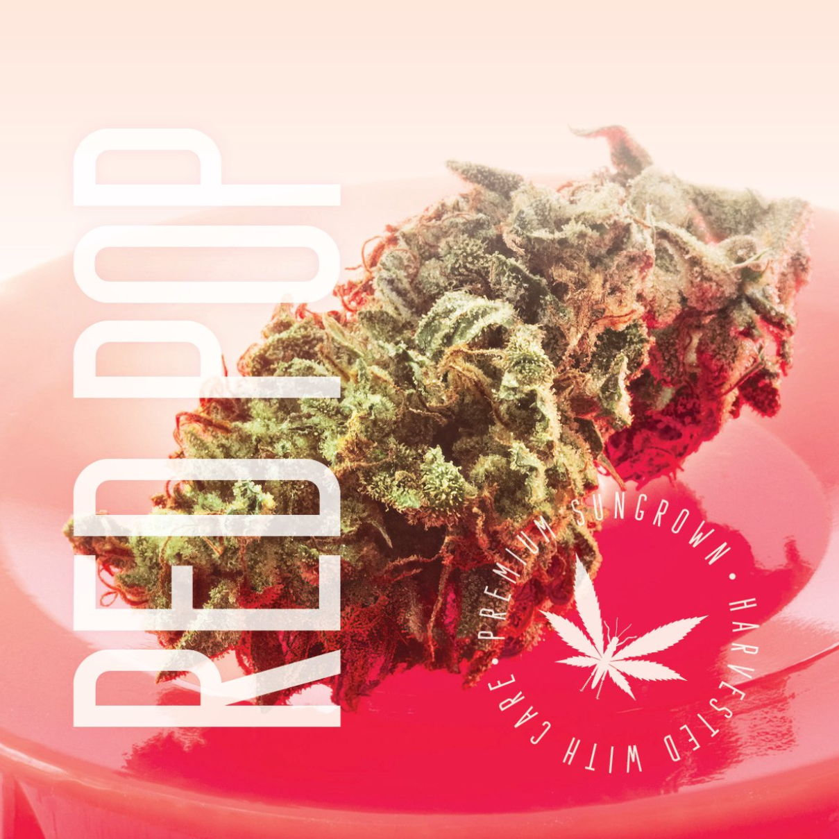 Photograph of product: Grasshopper | Red Pop 14g