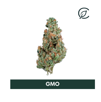 Photograph of product: GMO Whole Flower | T29.67% | 00960 | 3.5g