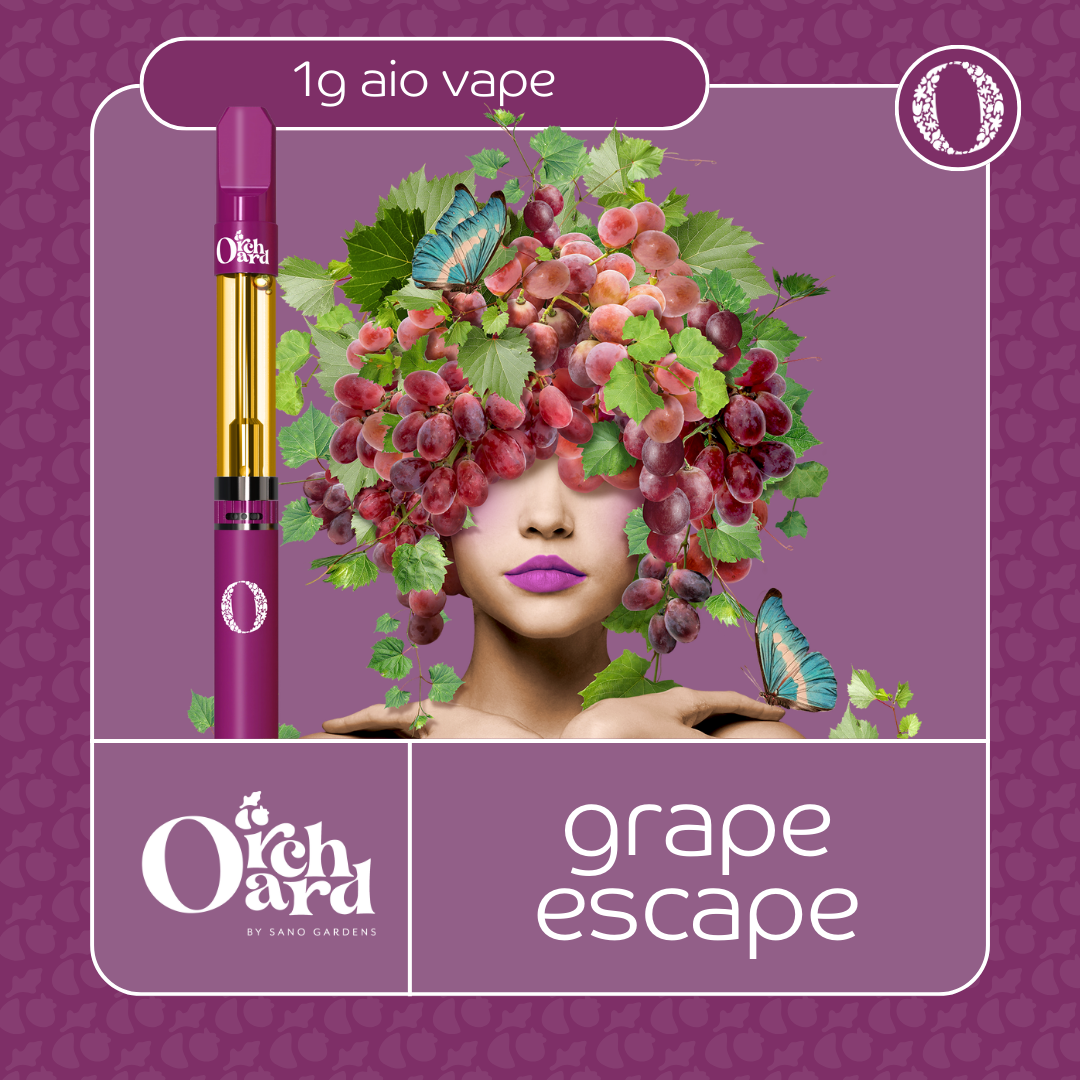 Photograph of product: Sano Gardens - 1000mg Orchard AIO - - Grape Escape