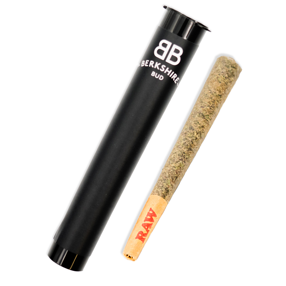 Photograph of product: GovernMint Oasis | Pre-Roll | 1g | By Berkshire Buds