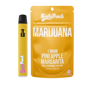 Photograph of product: Pineapple Margarita - AIO - 1g