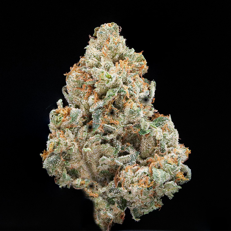 Photograph of product: Grab & Go 1/4 - Snowland - 7g