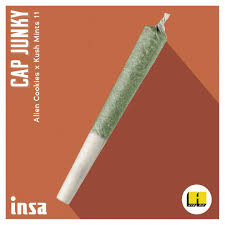 Photograph of product: Cap Junky (Premium) - Hybrid - Preroll [1g] (INSA)