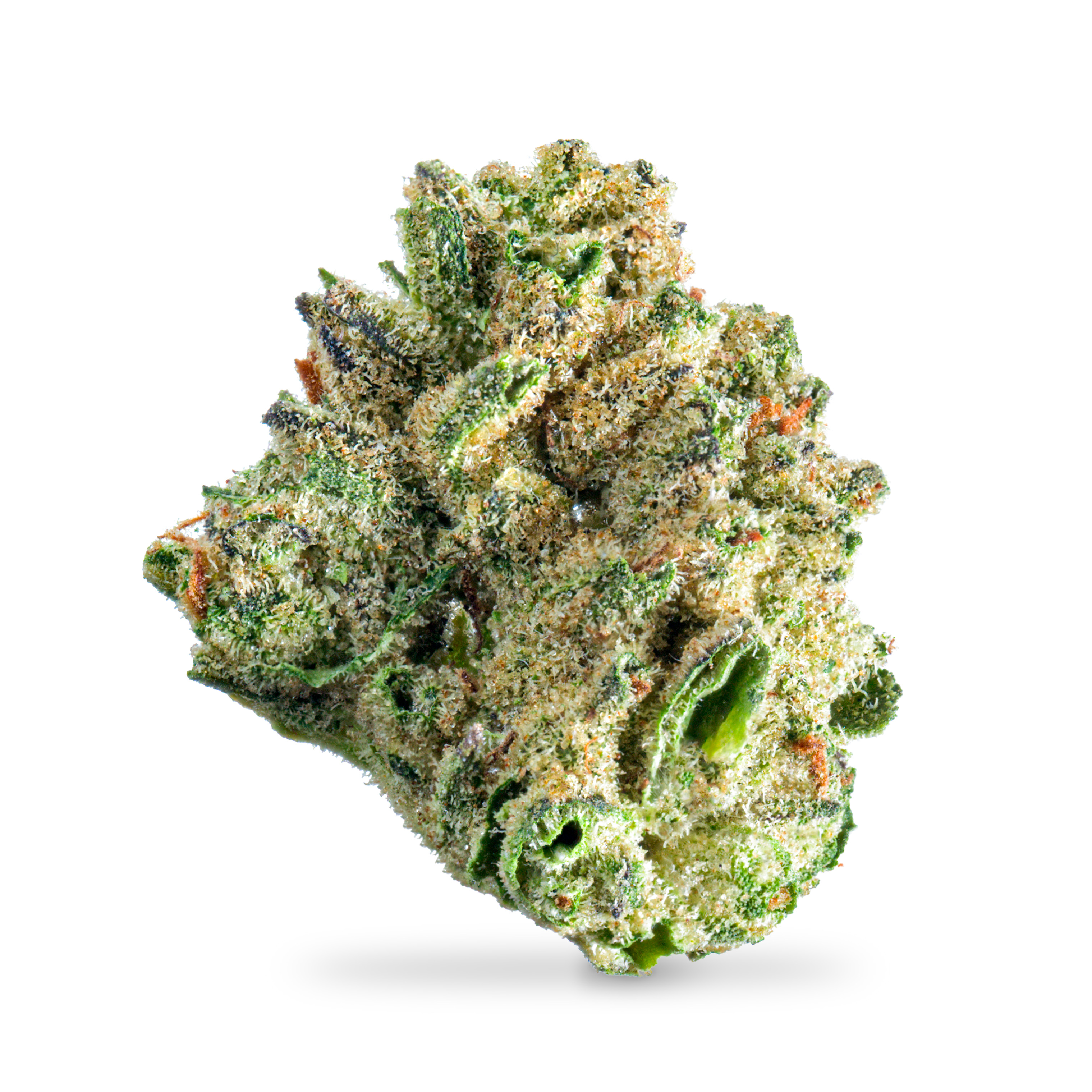 Photograph of product: First Class Kush ($70 OZ Special, No Discounts) - 28g