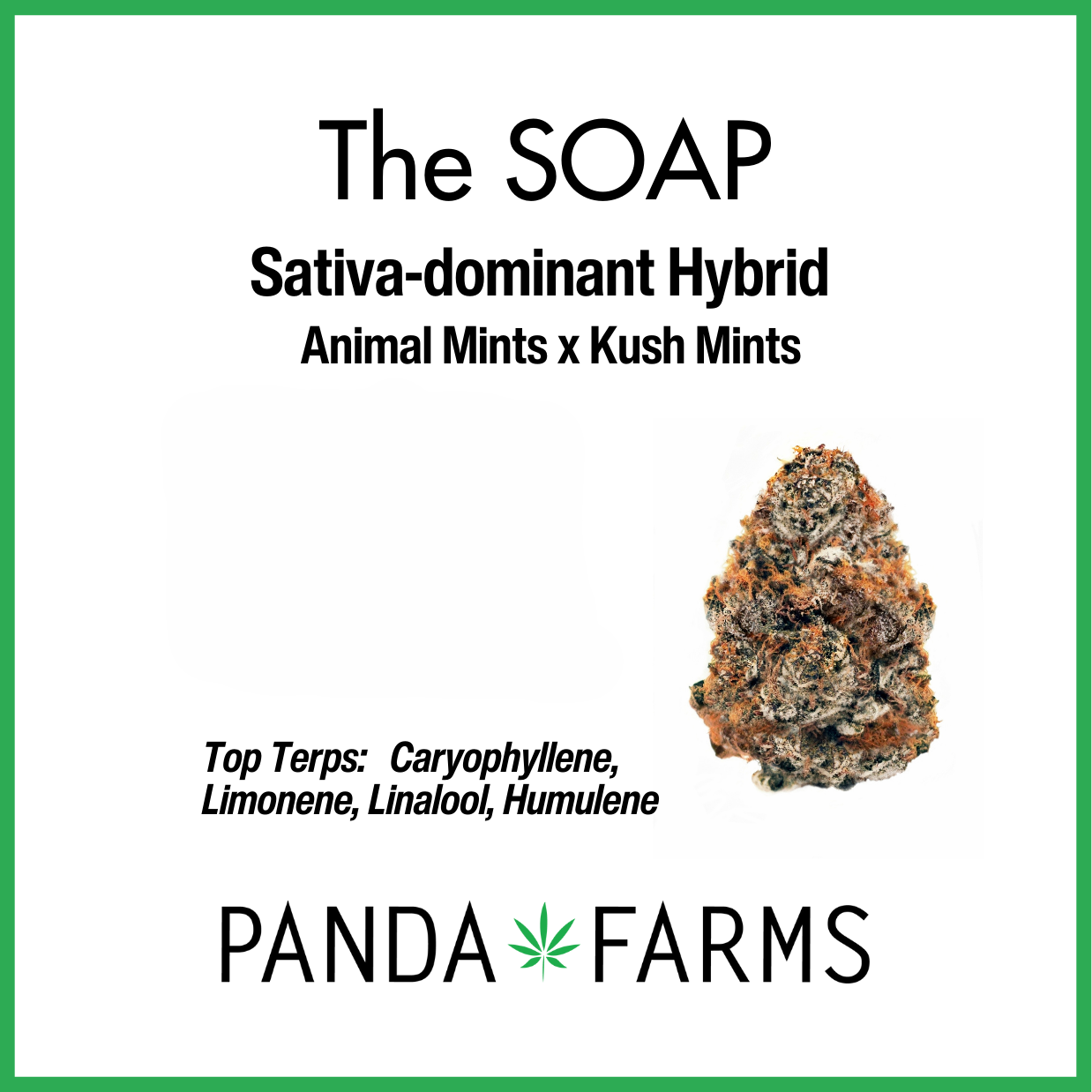 Photograph of product: Panda Farms - The Soap Flower - 14g