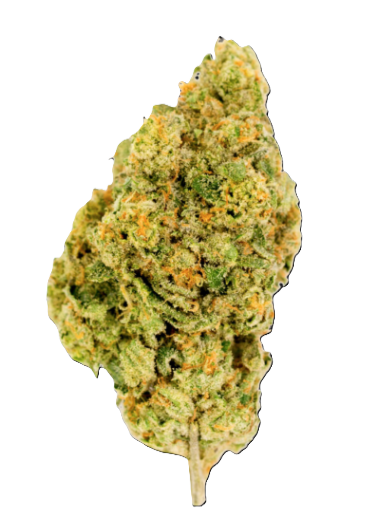 Photograph of product: Cannolis (H) [M43] - 3.5g