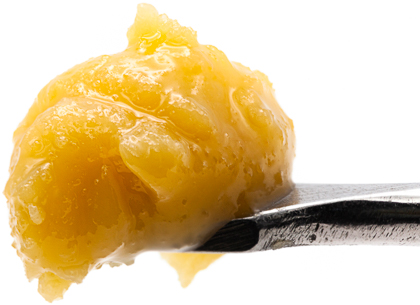 Photograph of product: WVA | LIVE RESIN | LEMONATTI