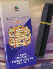 Photograph of product: Blueberry Pancake | Disposable 1g (Special)