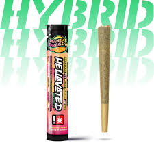 Photograph of Product: Mango Dragon Infused Juicy Bluntz (Hellavated)