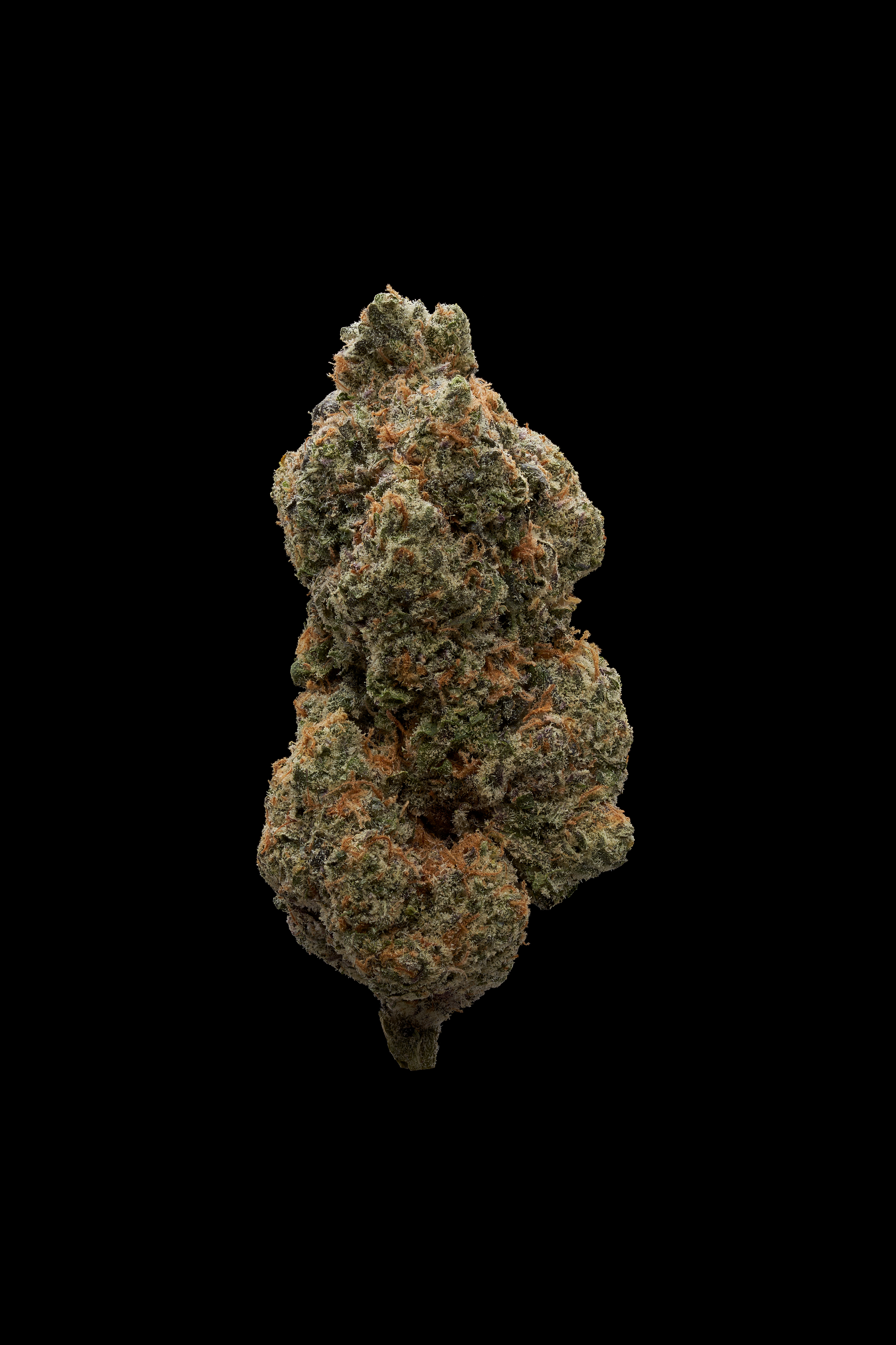 Photograph of product: Sensei Cult 1353 3.5 - 3.5g